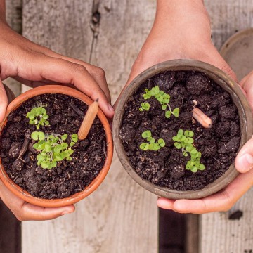 1500x1500loveedition31080x