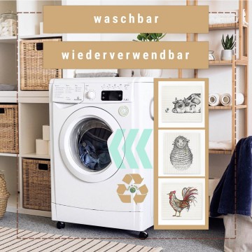 B043f1de 8e95 4c3c 8a48 f3bb899f97d41200x1200fill 1