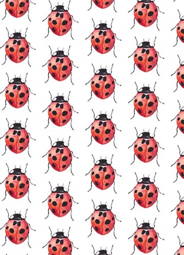 Kaart lieveheersbeestje 1