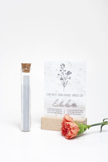 Plant je droom scaled