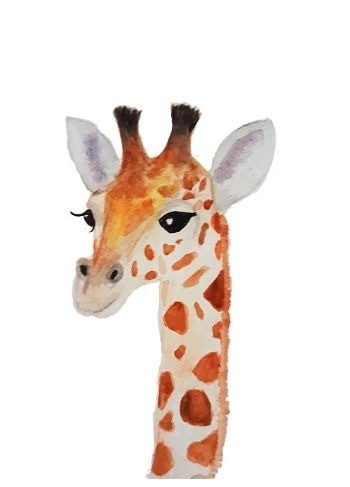 Shop giraffe